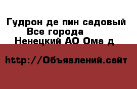 Гудрон де пин садовый - Все города  »    . Ненецкий АО,Ома д.